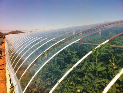 點擊查看詳細信息<br>標題：PO膜 閱讀次數(shù)：10411