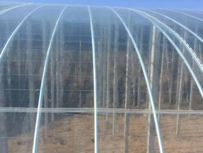 點擊查看詳細信息<br>標題：PO膜 閱讀次數(shù)：10841