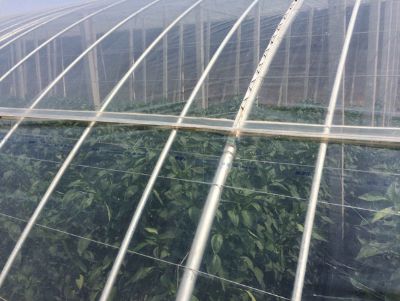 點擊查看詳細信息<br>標題：PO膜 閱讀次數(shù)：10169