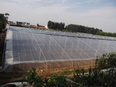 點擊查看詳細信息<br>標題：PO膜 閱讀次數(shù)：11915