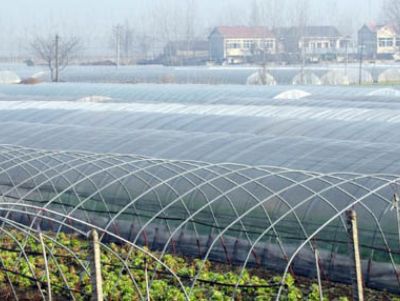 點(diǎn)擊查看詳細(xì)信息<br>標(biāo)題：PO膜 閱讀次數(shù)：15724