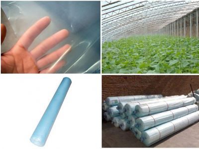 點(diǎn)擊查看詳細(xì)信息<br>標(biāo)題：流滴膜使用案例 閱讀次數(shù)：13679