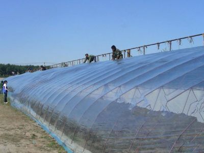 點(diǎn)擊查看詳細(xì)信息<br>標(biāo)題：流滴膜使用案例 閱讀次數(shù)：13917