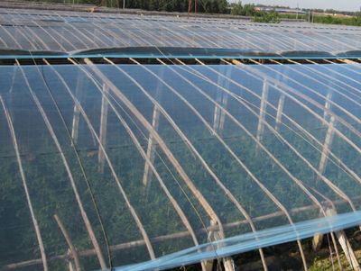 點(diǎn)擊查看詳細(xì)信息<br>標(biāo)題：PO膜使用案例 閱讀次數(shù)：17045