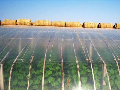 點(diǎn)擊查看詳細(xì)信息<br>標(biāo)題：PO膜使用案例 閱讀次數(shù)：19268