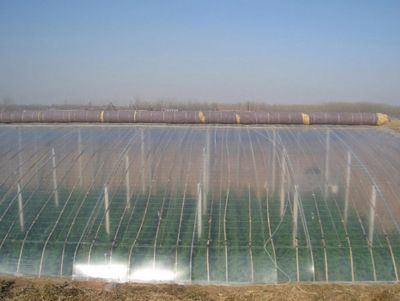 點擊查看詳細信息<br>標(biāo)題：PO大棚膜 閱讀次數(shù)：13334