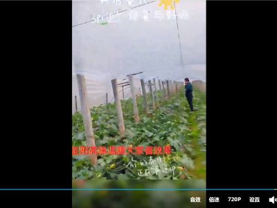 點擊查看詳細(xì)信息<br>標(biāo)題：金鵬高保溫膜大姐看效果吧 閱讀次數(shù)：3336